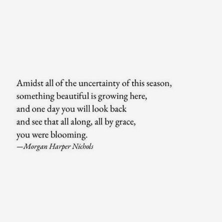 Image result for one day you will look back and see that all along you were blooming