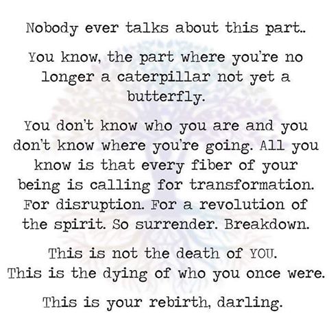 56942682_365495377640234_4295841755325865960_n.jpg?_nc_ht=scontent-atl3-1.cdninstagram